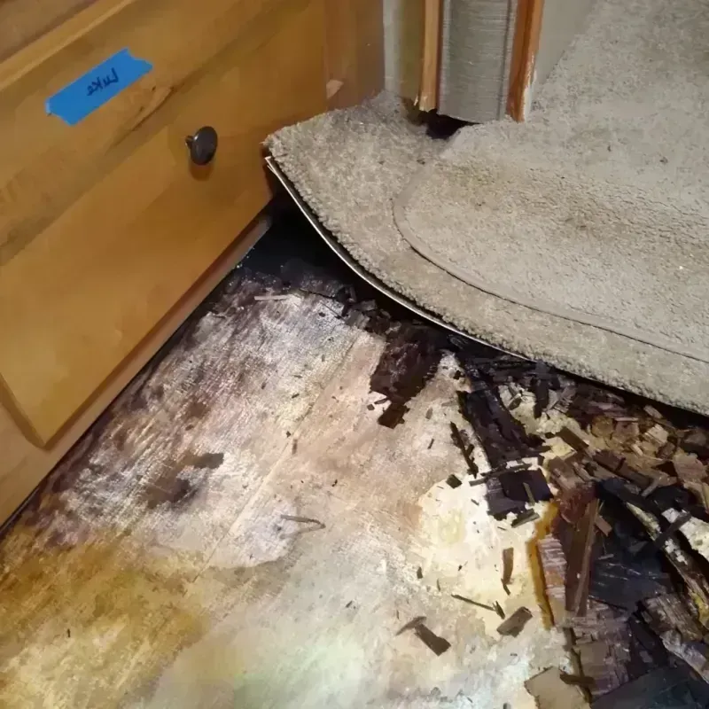 Best Wood Floor Water Damage Service in Carrboro, NC